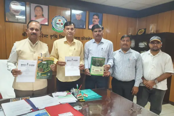 जोबनेर कृषि विश्वविद्यालय की बड़ी उपलब्धि, धनिया और मैथी की नई किस्मों को मिली मंजूरी