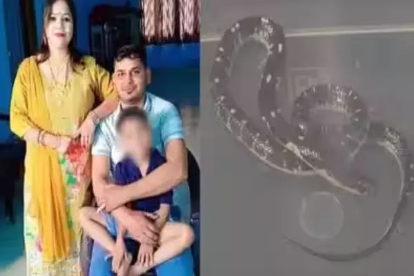 नींद की गोलियां खिलाईं, सांप से कटवाया… 20 लाख रुपए के लिए प्रेमी संग पत्नी ने किया पति का कत्ल